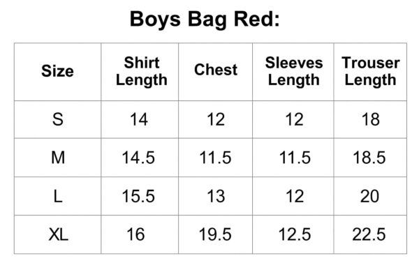 Toddler Boys Cartoon Bear Print Sweatshirt & Denim Pants Set – 2Pcs Baby Outfit size chart