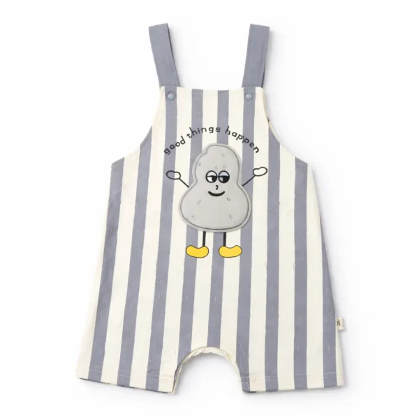 2 Piece Dungaree Set & Half Sleeve T-Shirt – 6M TO 24 M how it looks pair romper