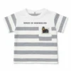 Baby Boys Striped T-Shirt & Grey Shorts Set – Imported how it looks shirt