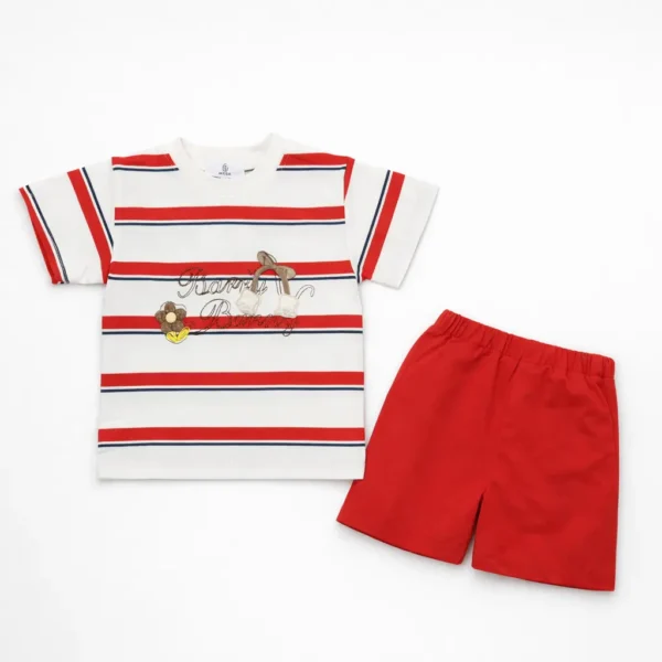 Toddler Boys Nautical Striped T-Shirt & Red Shorts - Imported pair