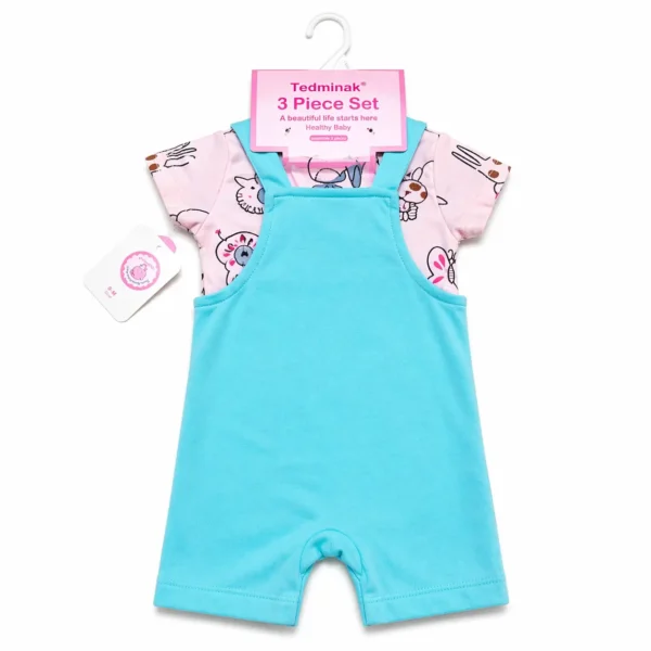 3 Piece Giraffe Romper Set T Shirt Dungaree & Socks 3 to 9M back
