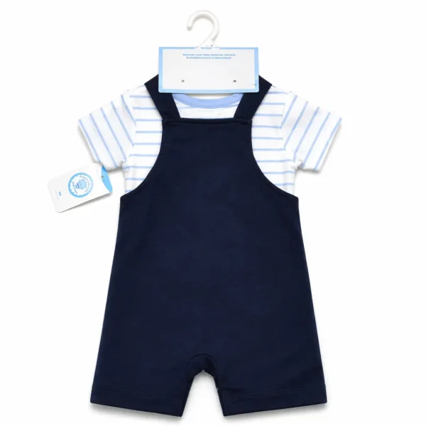 3 Piece Tiger Romper Set T Shirt Dungaree & Socks 3 to 24M back