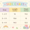 Baby Boys Brown Dino Print Polo Imported T Shirt 1 to 3Y size chart size guide