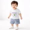 Dinosaur Truck Imported T Shirt Cargo Shorts 1 to 5Y how it looks