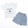 Dinosaur Truck Imported T Shirt Cargo Shorts 1 to 5Y how it looks pair
