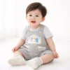 Elephant Print T Shirt and Dungaree 2 Piece Imported 1 to 4Y how it looks