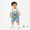 Dinosaur T Shirt & Denim Dungaree Shorts for Boys 1 to 5Y how it looks