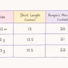 Imported Floral Suspender Romper Set Puff Sleeve 6M to 3Y main photo size chart size guide